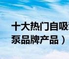 十大熱門自吸泵排行榜（精選10款自吸增壓泵品牌產(chǎn)品）