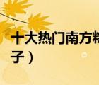 十大熱門(mén)南方粽子排行榜（南方人愛(ài)吃什么粽子）