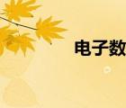 電子數(shù)碼（數(shù)碼電子產(chǎn)品）