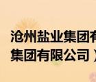 滄州鹽業(yè)集團(tuán)有限公司張立莊簡介（滄州鹽業(yè)集團(tuán)有限公司）