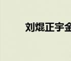 劉焜正宇金麥馳汽車節(jié)油器經營部