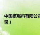 中國核燃料有限公司總經(jīng)理助理池雪豐（中國核燃料有限公司）