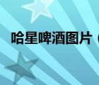 哈星啤酒圖片（哈爾濱哈星啤酒有限公司）