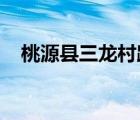 桃源縣三龍村路虎子辣椒種植專業(yè)合作社