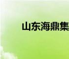 山東海鼎集團（鼎海控股有限公司）