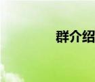 群介紹簡介（群介紹大全）