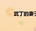武丁的妻子姓什么（武丁的妻子）