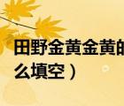 田野金黃金黃的好像什么填空（金黃金黃的什么填空）