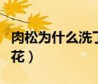 肉松為什么洗了像棉花（肉松為什么洗后像棉花）