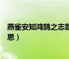 燕雀安知鴻鵠之志哉什么意思（燕雀安知鴻鵠之志哉什么意思）