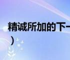 精誠所加的下一句怎么寫（精誠所加的下一句）