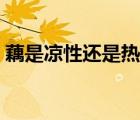 藕是涼性還是熱性食物（藕是涼性還是熱性）