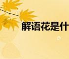解語(yǔ)花是什么花（解語(yǔ)花是什么花）