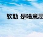 軟肋 是啥意思（軟肋比喻的是什么意思）