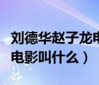 劉德華趙子龍電影叫什么名字（劉德華趙子龍電影叫什么）