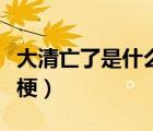 大清亡了是什么梗怎么回復（大清亡了是什么梗）