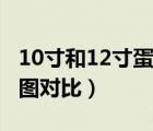 10寸和12寸蛋糕哪個劃算（10寸和12寸蛋糕圖對比）