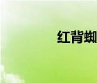紅背蜘蛛捕食（紅背蜘蛛）