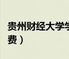 貴州財(cái)經(jīng)大學(xué)學(xué)費(fèi)多少一年（貴州財(cái)經(jīng)大學(xué)學(xué)費(fèi)）