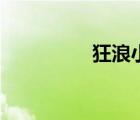 狂浪小分隊（狂蜂浪蝶）