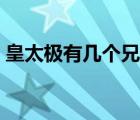 皇太極有幾個兄弟姐妹（皇太極有幾個孩子）