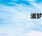 潘夢(mèng)露（潘夢(mèng)瑩事件）