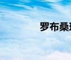 羅布桑珠2019（羅布桑珠）
