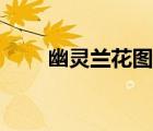 幽靈蘭花圖片價位（幽靈蘭花圖片）