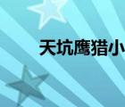 天坑鷹獵小說有聲（天坑鷹獵小說）