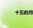 十五的月亮董文華（十五期間）