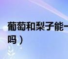 葡萄和梨子能一起吃嗎（葡萄和梨子能一起吃嗎）