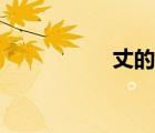 丈的成語（丈的成語）