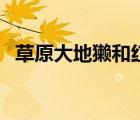 草原大地獺和紅犼打的視頻（草原大地獺）