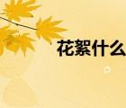 花絮什么意思（花絮什么意思）