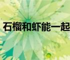 石榴和蝦能一起吃嗎（石榴和蝦能一起吃嗎）