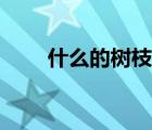 什么的樹枝詞語（什么的樹蔭填空）