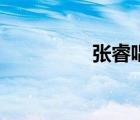張睿唱歌（張睿陳小紜）