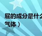 屁的成分是什么氣體可燃嗎（屁的成分是什么氣體）