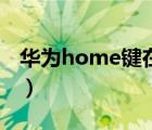 華為home鍵在哪（華為home鍵在哪里設置）