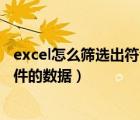 excel怎么篩選出符合條件的職位（excel怎么篩選出符合條件的數(shù)據(jù)）
