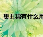 集五福有什么用2020年（集五福有什么用）