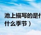 池上描寫的是什么季節(jié)的景色（池上描寫的是什么季節(jié)）
