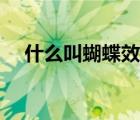 什么叫蝴蝶效應(yīng)解說（什么叫蝴蝶效應(yīng)）