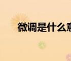 微調(diào)是什么意思呢（微調(diào)是什么意思）