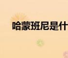 哈蒙班尼是什么品牌旗下的（哈蒙班尼）