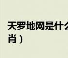天羅地網(wǎng)是什么生肖動物（天羅地網(wǎng)是什么生肖）