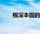 根深本固的拼音（根深本固的意思）