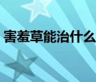 害羞草能治什么病價格（害羞草能治什么?。?/>
                                    </a>
                                                </div>
                                    <div   id=
