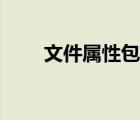 文件屬性包含（文件屬性包括哪些）