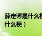 薛定諤是什么梗比喻什么英文解說（薛定諤是什么梗）